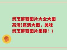 灵芝鲜菇图片大全大图高清(高清大图，美味灵芝鲜菇图片集锦！)