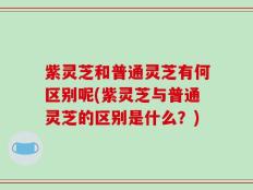 紫灵芝和普通灵芝有何区别呢(紫灵芝与普通灵芝的区别是什么？)