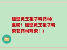 破壁灵芝孢子粉药材(重磅！破壁灵芝孢子粉荣获药材殊荣！)