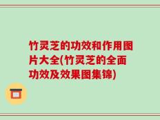 竹灵芝的功效和作用图片大全(竹灵芝的全面功效及效果图集锦)