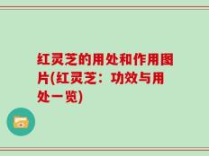 红灵芝的用处和作用图片(红灵芝：功效与用处一览)