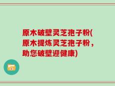 原木破壁灵芝孢子粉(原木提炼灵芝孢子粉，助您破壁迎健康)