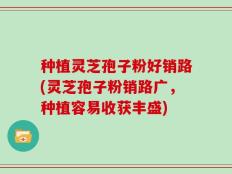 种植灵芝孢子粉好销路(灵芝孢子粉销路广，种植容易收获丰盛)