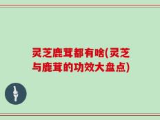 灵芝鹿茸都有啥(灵芝与鹿茸的功效大盘点)