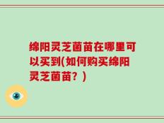 绵阳灵芝菌苗在哪里可以买到(如何购买绵阳灵芝菌苗？)