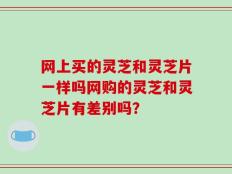 网上买的灵芝和灵芝片一样吗网购的灵芝和灵芝片有差别吗？