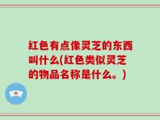 红色有点像灵芝的东西叫什么(红色类似灵芝的物品名称是什么。)