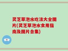 灵芝草泡水吃法大全图片(灵芝草泡水食用指南及图片合集)