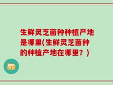 生鲜灵芝菌种种植产地是哪里(生鲜灵芝菌种的种植产地在哪里？)