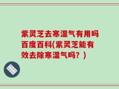 紫灵芝去寒湿气有用吗百度百科(紫灵芝能有效去除寒湿气吗？)