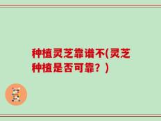 种植灵芝靠谱不(灵芝种植是否可靠？)