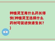 种植灵芝用什么药长得快(种植灵芝选择什么药材可促进快速生长？)