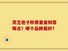 灵芝孢子粉质量鉴别靠哪点？哪个品牌最好？