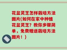 花盆灵芝怎样栽培方法图片(如何在家中种植花盆灵芝？教你步骤简单，免费赠送栽培方法图片！)