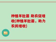 种植羊肚菌 助农促增收(种植羊肚菌，助力农民增收)