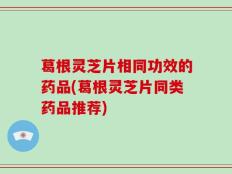 葛根灵芝片相同功效的药品(葛根灵芝片同类药品推荐)