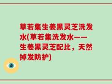 草若集生姜黑灵芝洗发水(草若集洗发水——生姜黑灵芝配比，天然掉发防护)