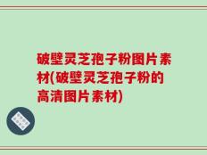 破壁灵芝孢子粉图片素材(破壁灵芝孢子粉的高清图片素材)