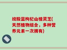 绞股蓝枸杞山楂灵芝(天然植物组合，多种营养元素一次拥有)