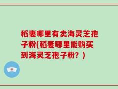 稻妻哪里有卖海灵芝孢子粉(稻妻哪里能购买到海灵芝孢子粉？)