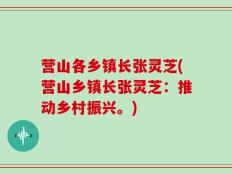 营山各乡镇长张灵芝(营山乡镇长张灵芝：推动乡村振兴。)