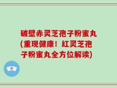 破壁赤灵芝孢子粉蜜丸(重现健康！红灵芝孢子粉蜜丸全方位解读)