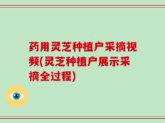 药用灵芝种植户采摘视频(灵芝种植户展示采摘全过程)