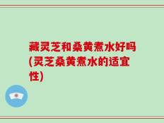 藏灵芝和桑黄煮水好吗(灵芝桑黄煮水的适宜性)