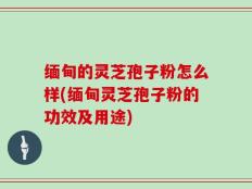 缅甸的灵芝孢子粉怎么样(缅甸灵芝孢子粉的功效及用途)