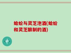 蛤蚧与灵芝泡酒(蛤蚧和灵芝酿制的酒)