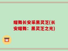 耀舞长安采黑灵芝(长安耀舞：黑灵芝之光)