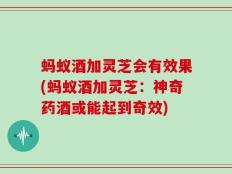 蚂蚁酒加灵芝会有效果(蚂蚁酒加灵芝：神奇药酒或能起到奇效)