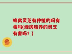 蜂窝灵芝有种植的吗有毒吗(蜂房培养的灵芝有害吗？)