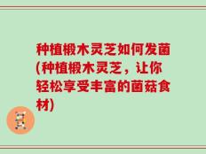 种植椴木灵芝如何发菌(种植椴木灵芝，让你轻松享受丰富的菌菇食材)