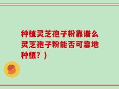种植灵芝孢子粉靠谱么灵芝孢子粉能否可靠地种植？)