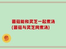 菌菇能和灵芝一起煮汤(菌菇与灵芝同煮汤)