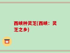 西峡种灵芝(西峡：灵芝之乡)