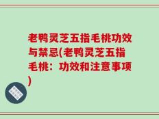 老鸭灵芝五指毛桃功效与禁忌(老鸭灵芝五指毛桃：功效和注意事项)
