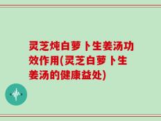 灵芝炖白萝卜生姜汤功效作用(灵芝白萝卜生姜汤的健康益处)