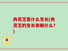 肉灵芝靠什么生长(肉灵芝的生长依赖什么？)