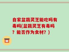自家盆栽灵芝能吃吗有毒吗(盆栽灵芝有毒吗？能否作为食材？)