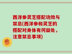 西洋参灵芝搭配功效与禁忌(西洋参和灵芝的搭配对身体有何益处，注意禁忌事项)