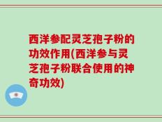 西洋参配灵芝孢子粉的功效作用(西洋参与灵芝孢子粉联合使用的神奇功效)