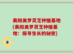 襄阳美罗灵芝种植基地(襄阳美罗灵芝种植基地：探寻生长的秘密)