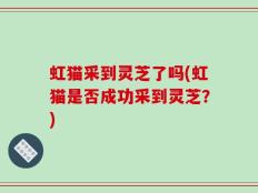 虹猫采到灵芝了吗(虹猫是否成功采到灵芝？)