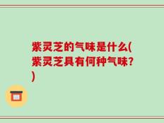 紫灵芝的气味是什么(紫灵芝具有何种气味？)