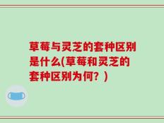 草莓与灵芝的套种区别是什么(草莓和灵芝的套种区别为何？)