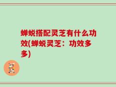 蝉蜕搭配灵芝有什么功效(蝉蜕灵芝：功效多多)