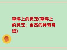 草坪上的灵芝(草坪上的灵芝：自然的神奇奇迹)