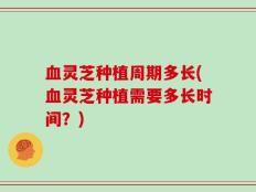 血灵芝种植周期多长(血灵芝种植需要多长时间？)